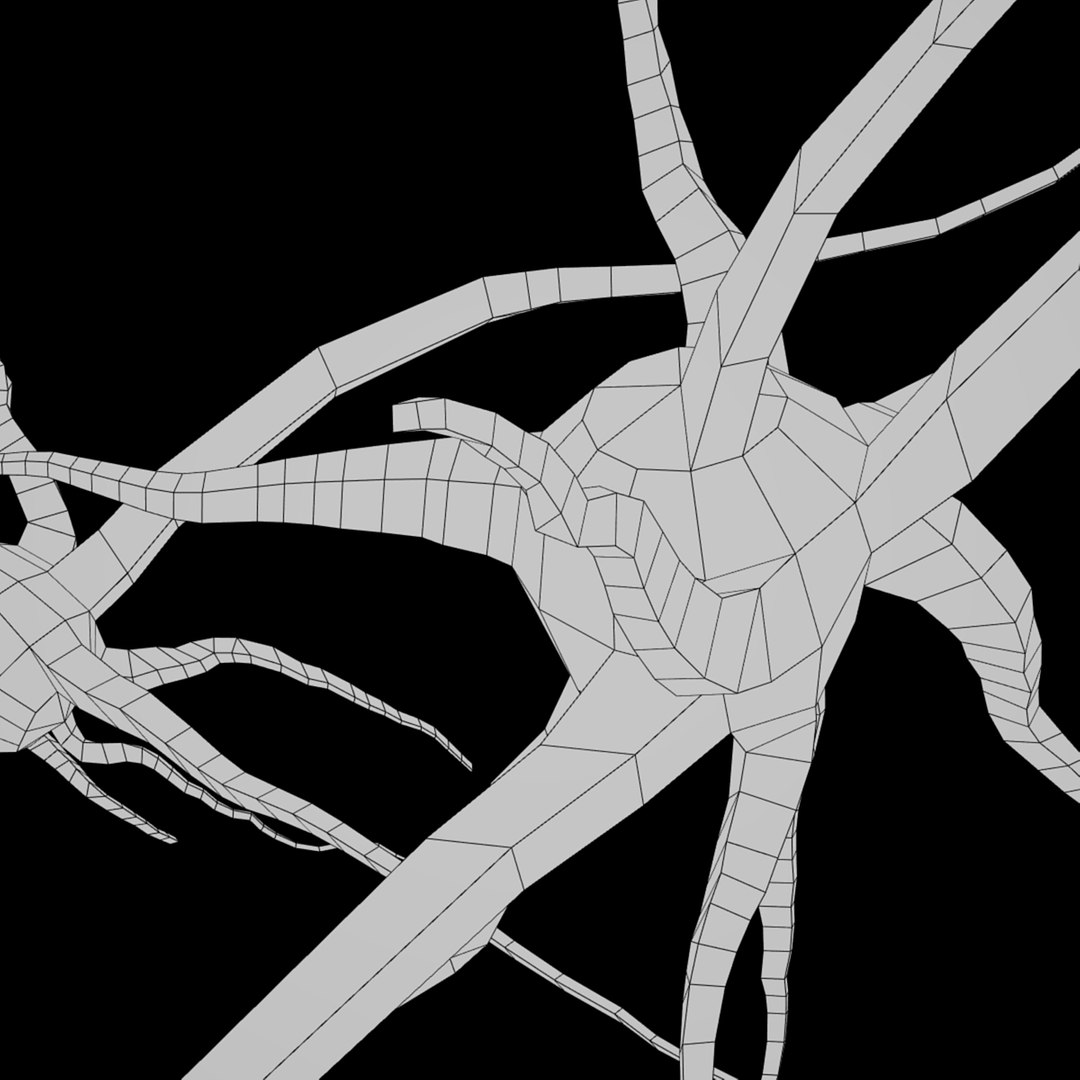 3D 3 neurons uv mapped model https://p.turbosquid.com/ts-thumb/UE/XJpubM/hpnFAU91/3neurons6/jpg/1492257696/1920x1080/fit_q87/191c6e35363a992a5d7b9985f726cb94542c7cc5/3neurons6.jpg