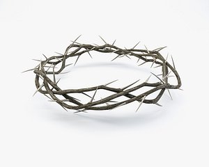 Crown Of Thorns 3D