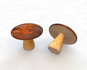 3D mushroom model