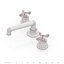 Waterworks Henry Faucet with Cross Handles