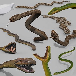 3D American Top 3 Snakes model