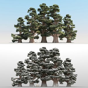 5 juniper trees 3D model