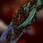 Staphylococcus (MRSA)