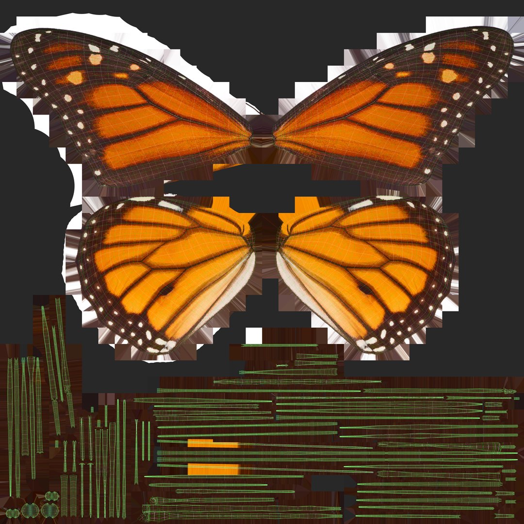 3D butterfly monarch model https://p.turbosquid.com/ts-thumb/UF/PV0tLV/zPoOpTL2/wings_uvs/jpg/1502875872/1920x1080/fit_q87/8679339871341c77c0966f6158c7ea7d2c5f3099/wings_uvs.jpg