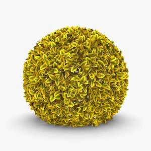 Hedge 01 (Yellow)