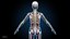 Ultimate Female Anatomy - Advanced Rig