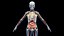 Ultimate Female Anatomy - Advanced Rig