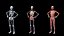 Ultimate Female Anatomy - Advanced Rig