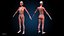 Ultimate Female Anatomy - Advanced Rig