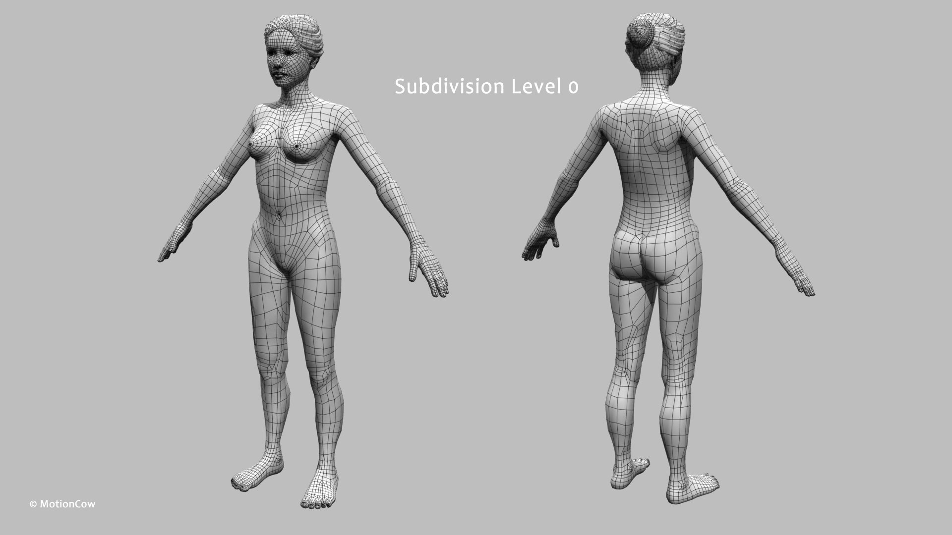 Ultimate Female Anatomy - Rigged  Animated 3D https://p.turbosquid.com/ts-thumb/UF/Xl9ofJ/pL/female_anatomy_w7/jpg/1665137544/1920x1080/fit_q87/8bf91f00e40fb54deca2de5426c75069b6a1d92f/female_anatomy_w7.jpg