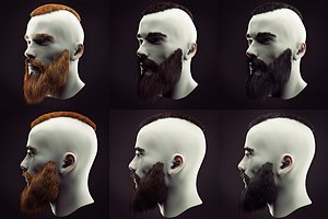 hairstyle beard 3D model