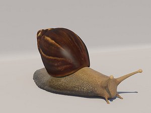 3D model snail