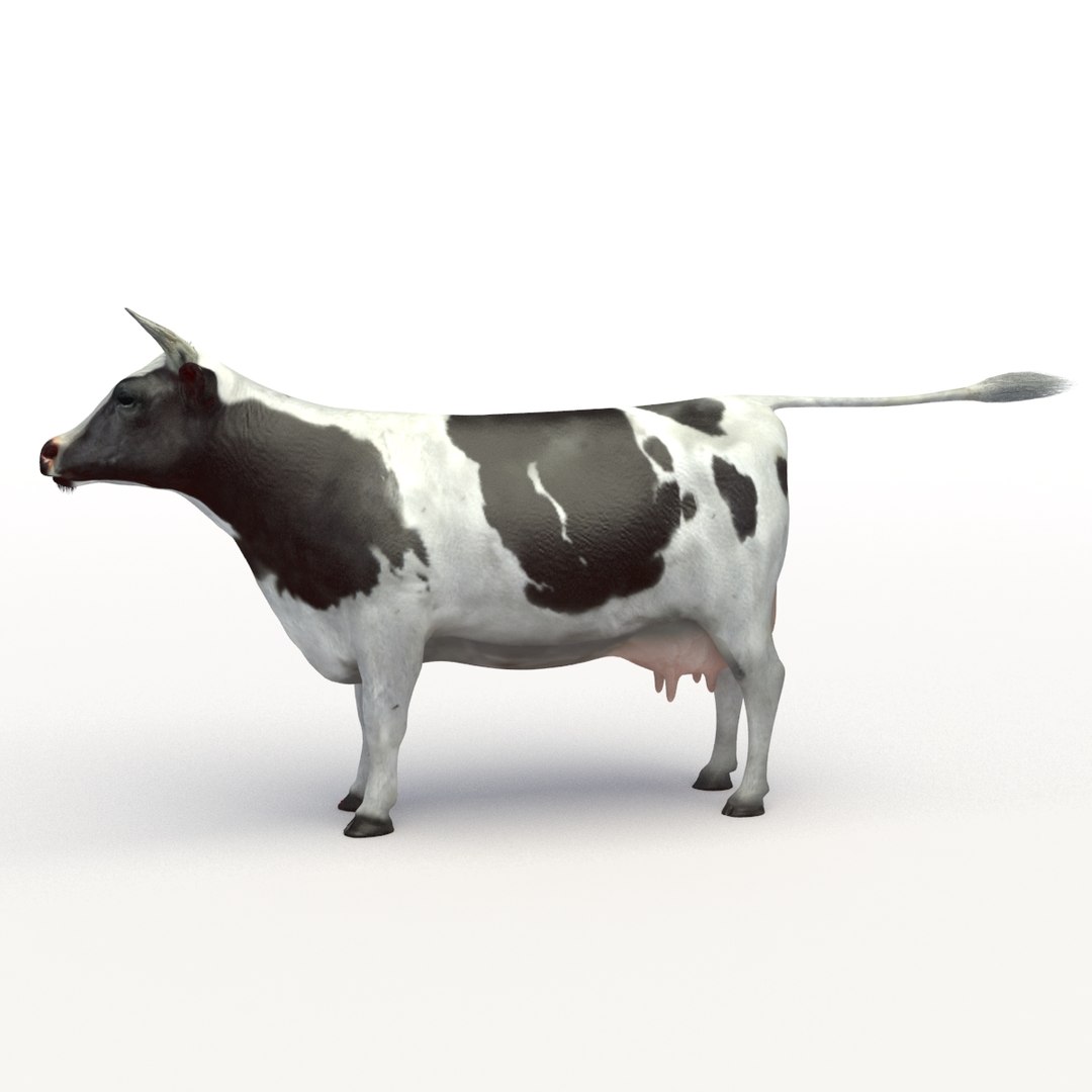 Cow Rigged 3D Model - TurboSquid 1175921