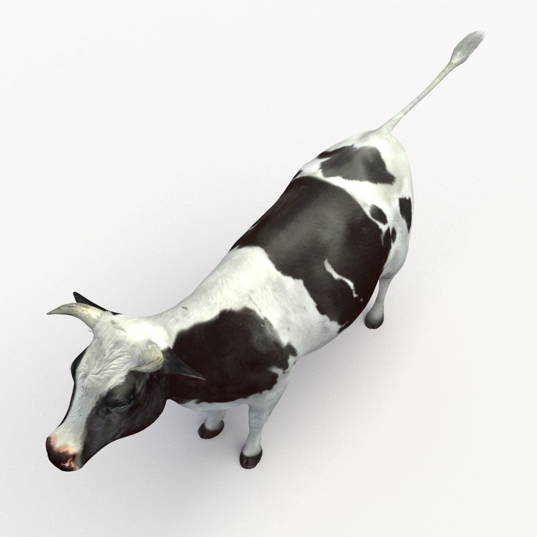 Cow Rigged 3D Model - TurboSquid 1175921