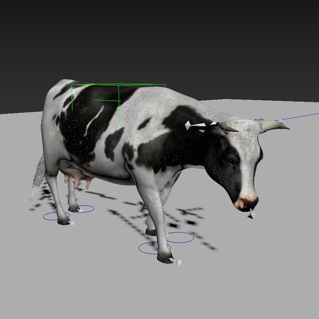 Cow Rigged 3D Model - TurboSquid 1175921