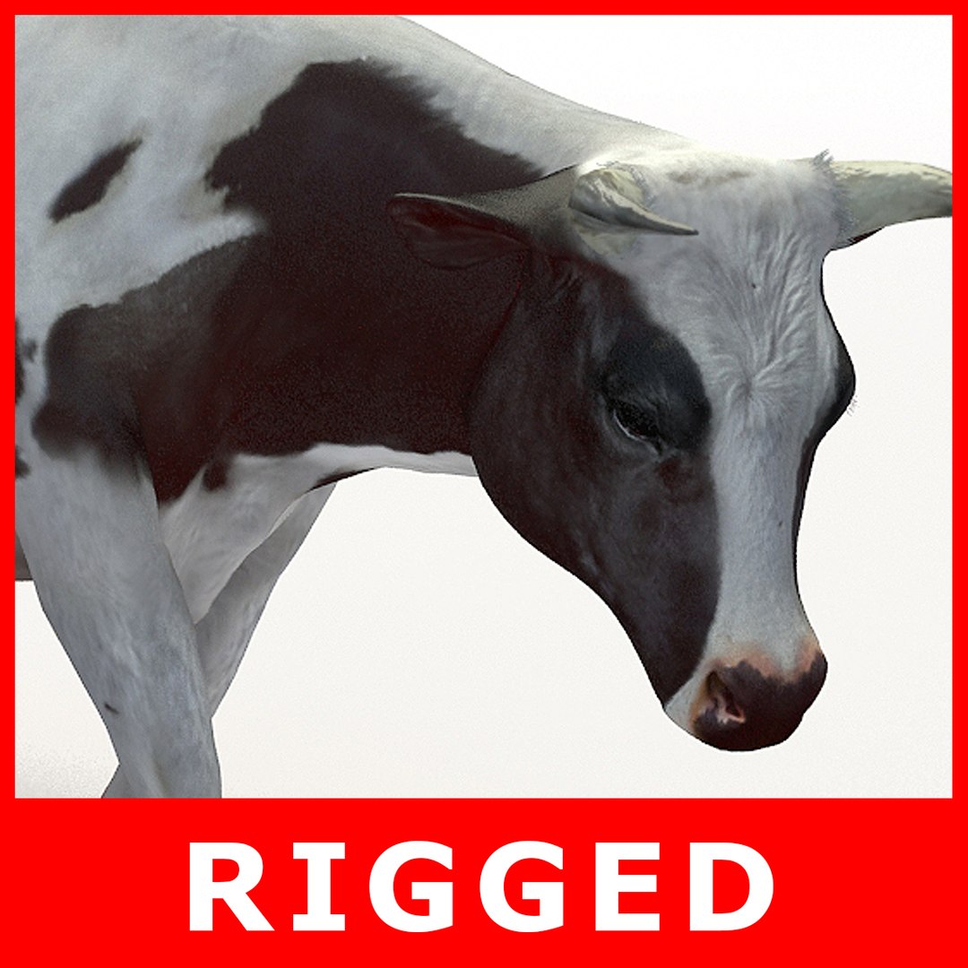 Cow Rigged 3D Model - TurboSquid 1175921