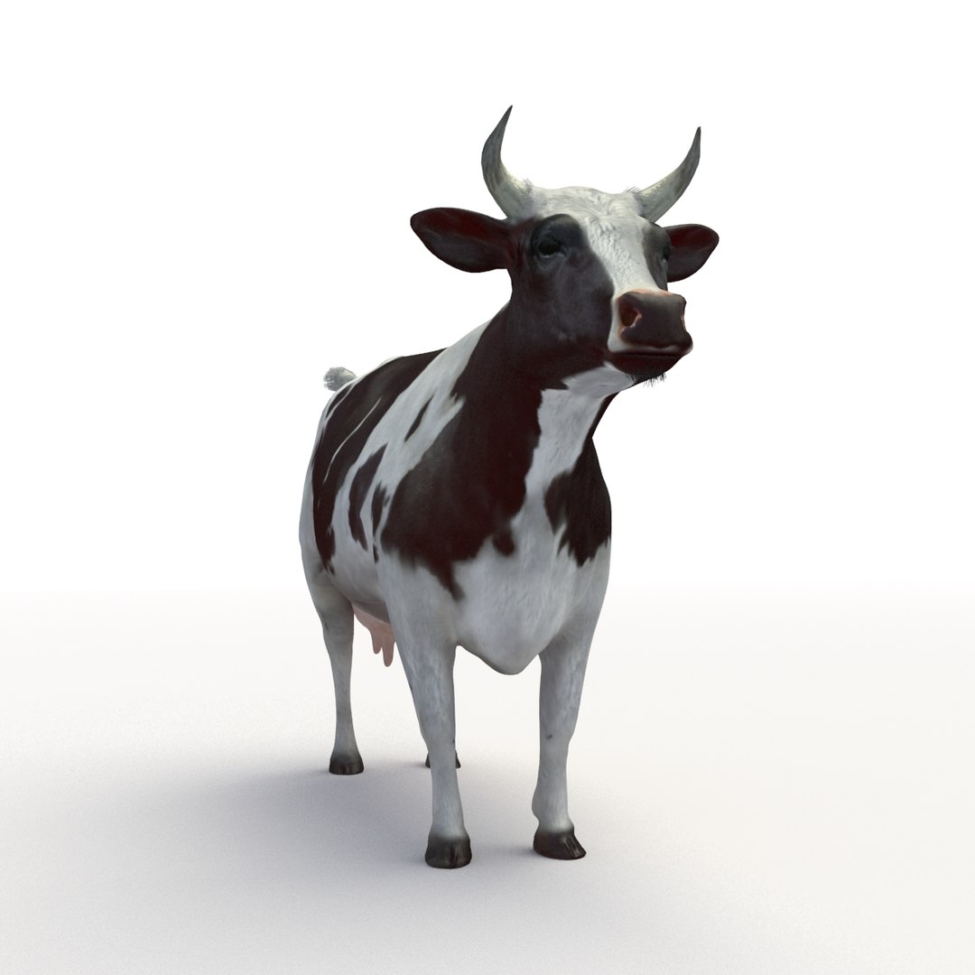 Cow Rigged 3D Model - TurboSquid 1175921