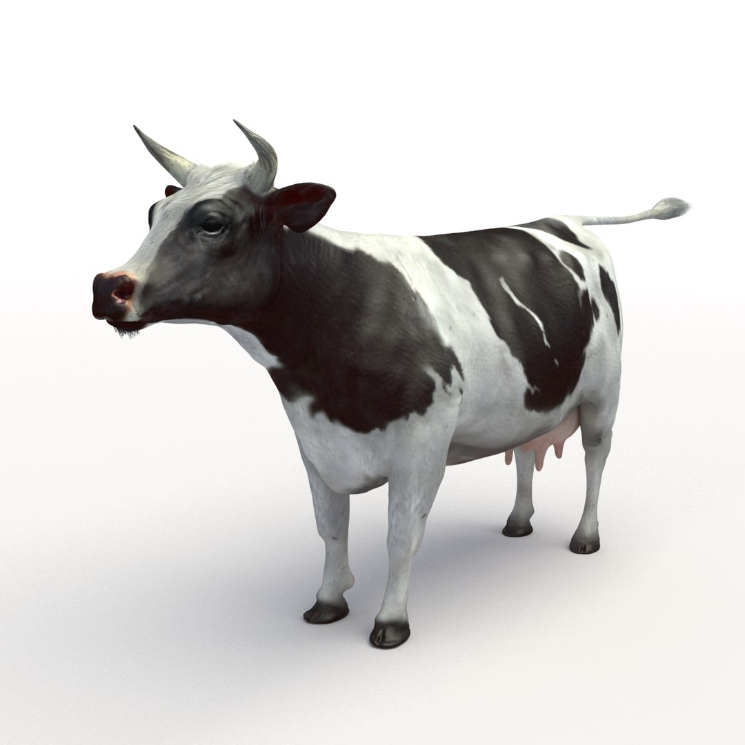 Cow Rigged 3D Model - TurboSquid 1175921