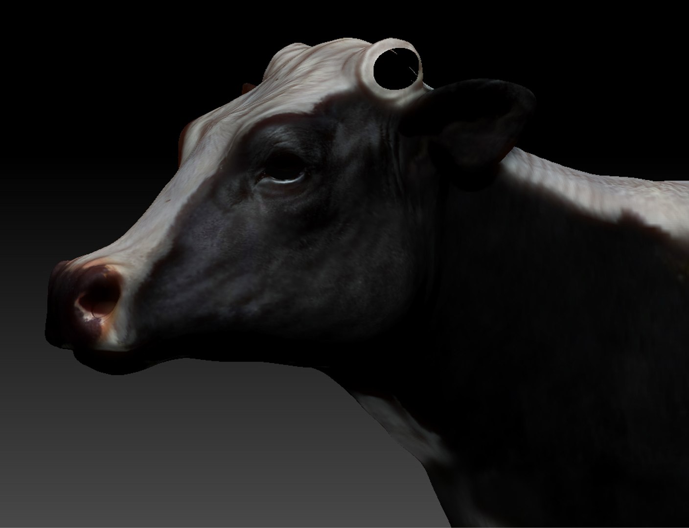 Cow Rigged 3D Model - TurboSquid 1175921