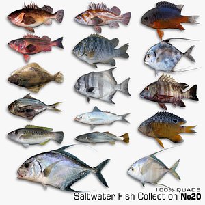 3D Saltwater Fish Collection 20 model