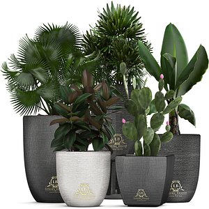 3D exotic plants model