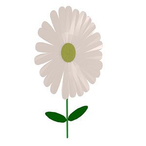 White Flower 3D