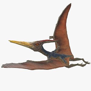 pteranodon rigged 3D model