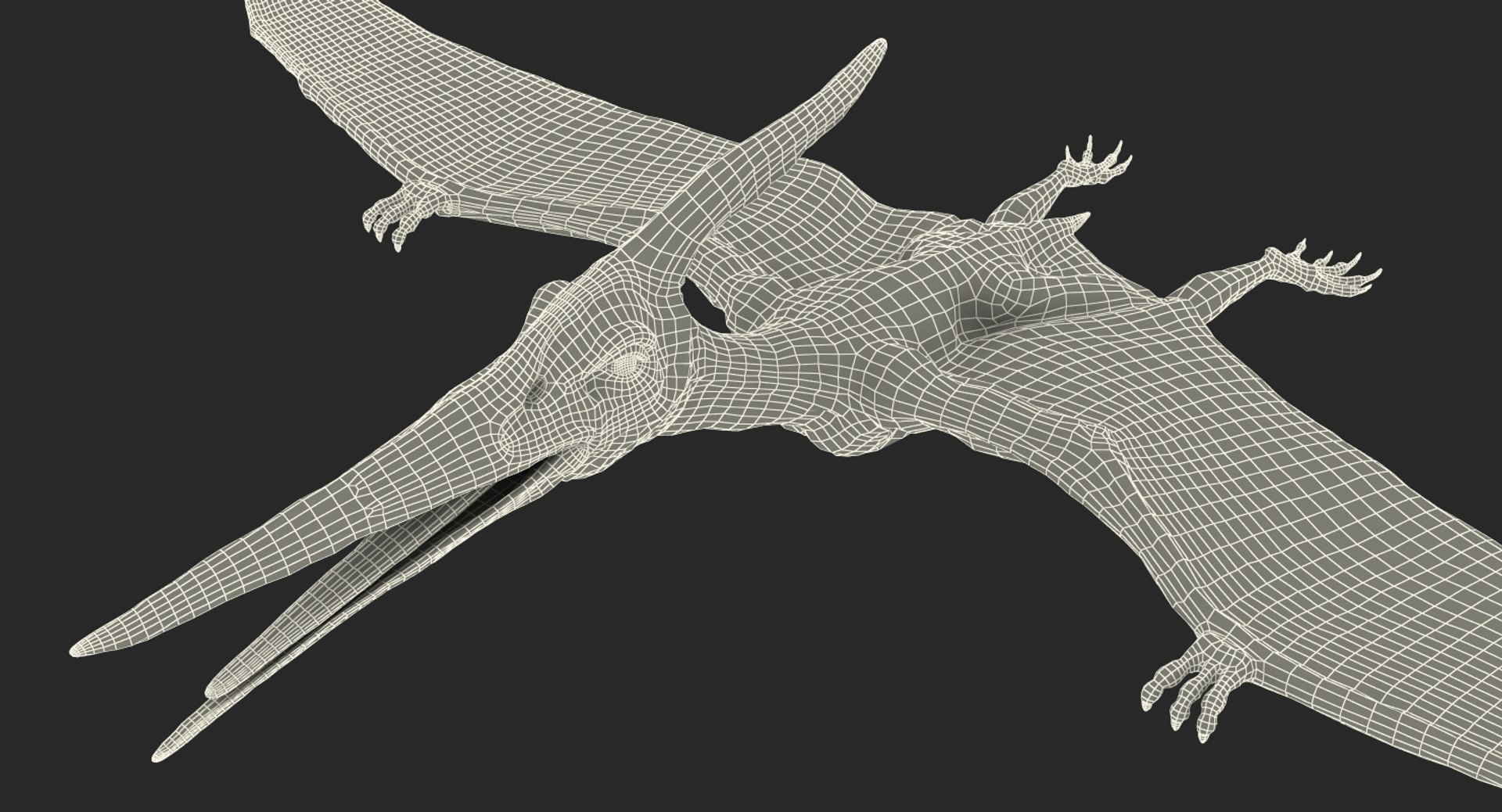 pteranodon rigged 3D model https://p.turbosquid.com/ts-thumb/UG/ocklyP/7WvC0Rnc/pteranodonriggedmb3dmodel026/jpg/1558393687/1920x1080/fit_q87/aabb09302f4d58034fca1d6d730b3819d619efbe/pteranodonriggedmb3dmodel026.jpg