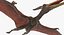 Pteranodon Rigged pour Cinema 4D