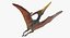 Pteranodon Rigged pour Cinema 4D