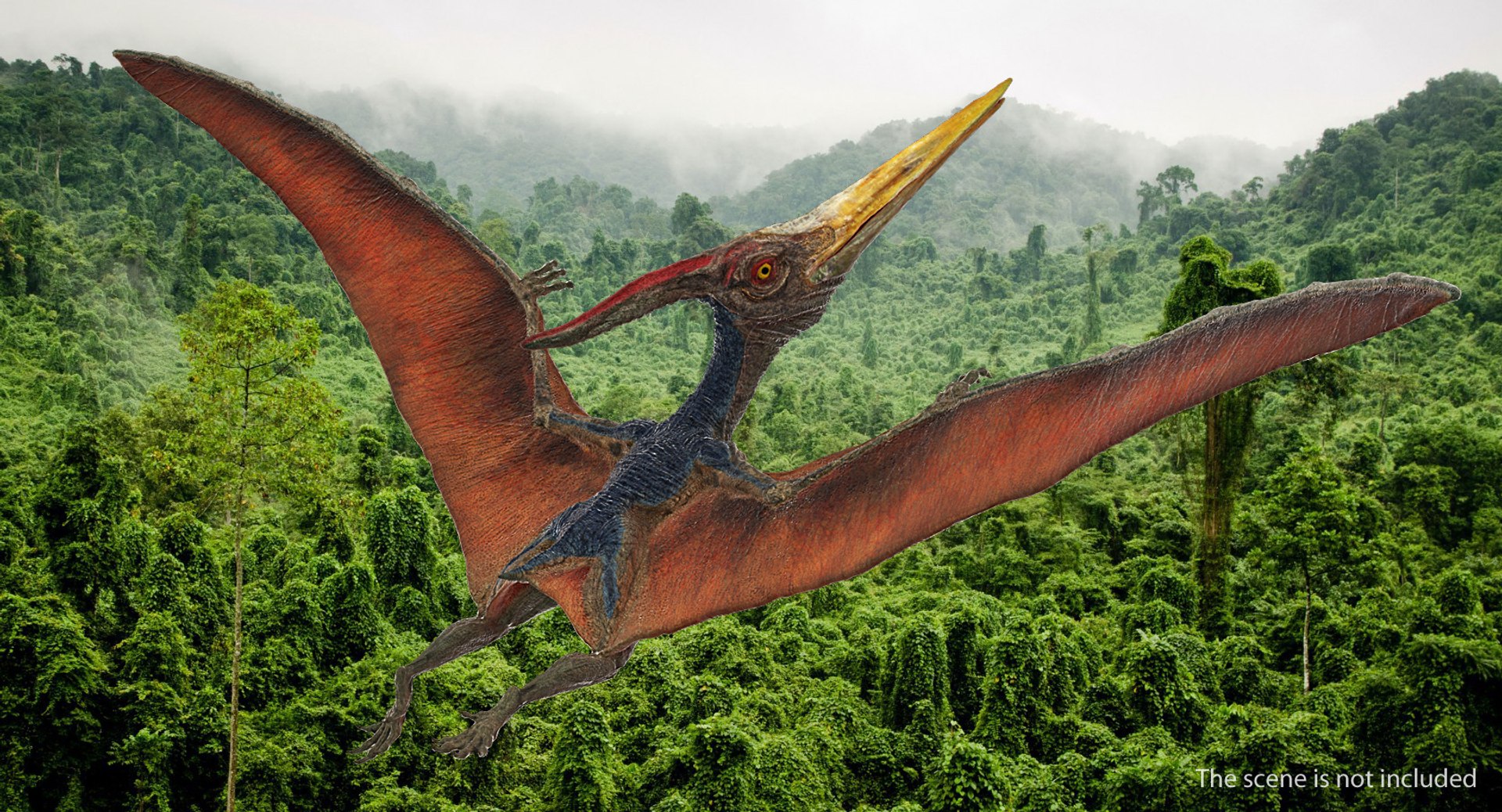 pteranodon rigged 3D model https://p.turbosquid.com/ts-thumb/UG/ocklyP/qJSlffyN/pteranodonriggedmb3dmodel003/jpg/1558393606/1920x1080/fit_q87/1e7d44f7309bd4127508dac8b004a70601d5bfcf/pteranodonriggedmb3dmodel003.jpg