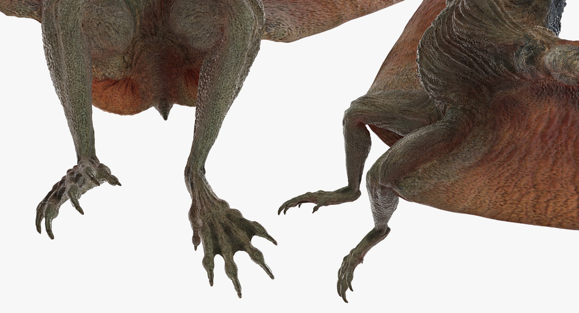 pteranodon rigged 3D model https://p.turbosquid.com/ts-thumb/UG/ocklyP/zaaqHduR/pteranodonriggedmb3dmodel020/jpg/1558393666/1920x1080/fit_q87/540f4681a735b1bf0e072ddc8c0cbe2e3c829d9e/pteranodonriggedmb3dmodel020.jpg
