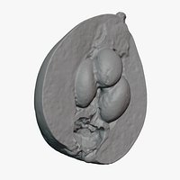 Halved Loquat with Seeds - For 3D Print
