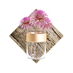 3D wall hanging flask flower