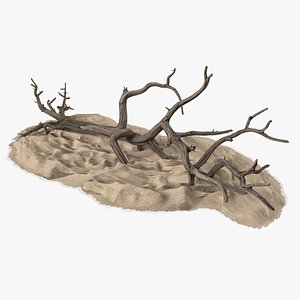 Dry Old Tree on Dune Surface