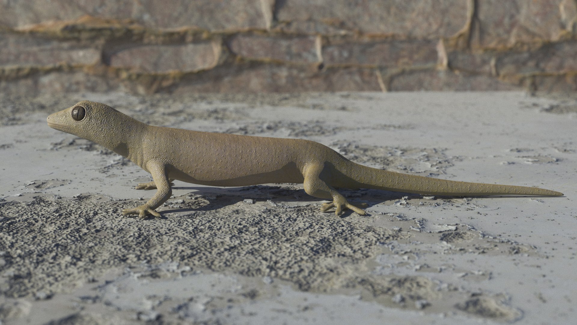 3D mourning gecko model https://p.turbosquid.com/ts-thumb/UH/7782CI/3xxcJcXp/4c/png/1573783902/1920x1080/fit_q87/5282d08910181baf41623e7e62383769ae9e15be/4c.jpg