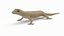 3D mourning gecko model