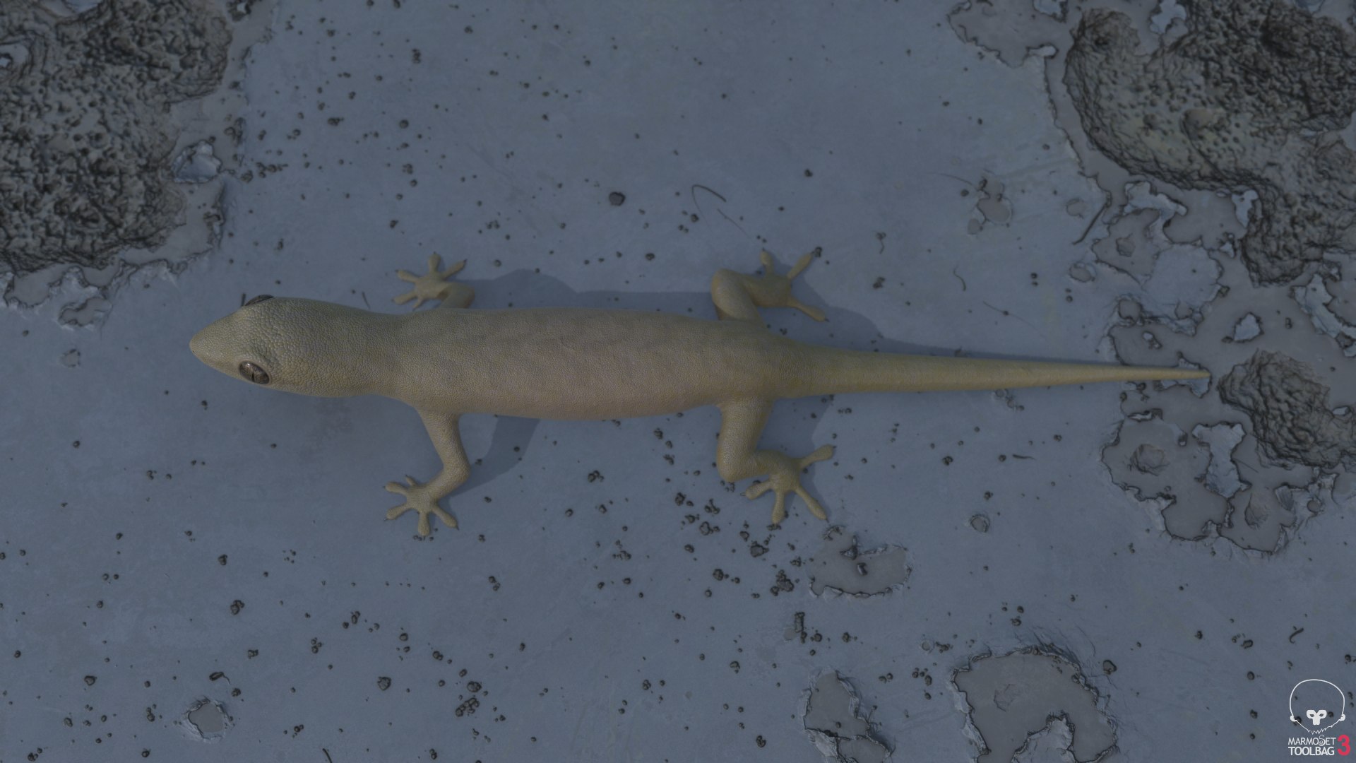 3D mourning gecko model https://p.turbosquid.com/ts-thumb/UH/7782CI/kZi4A5mj/screenshot1187/png/1573783943/1920x1080/fit_q87/ae918bac7cb29b2a4068fdfeb331353ee3a9c127/screenshot1187.jpg