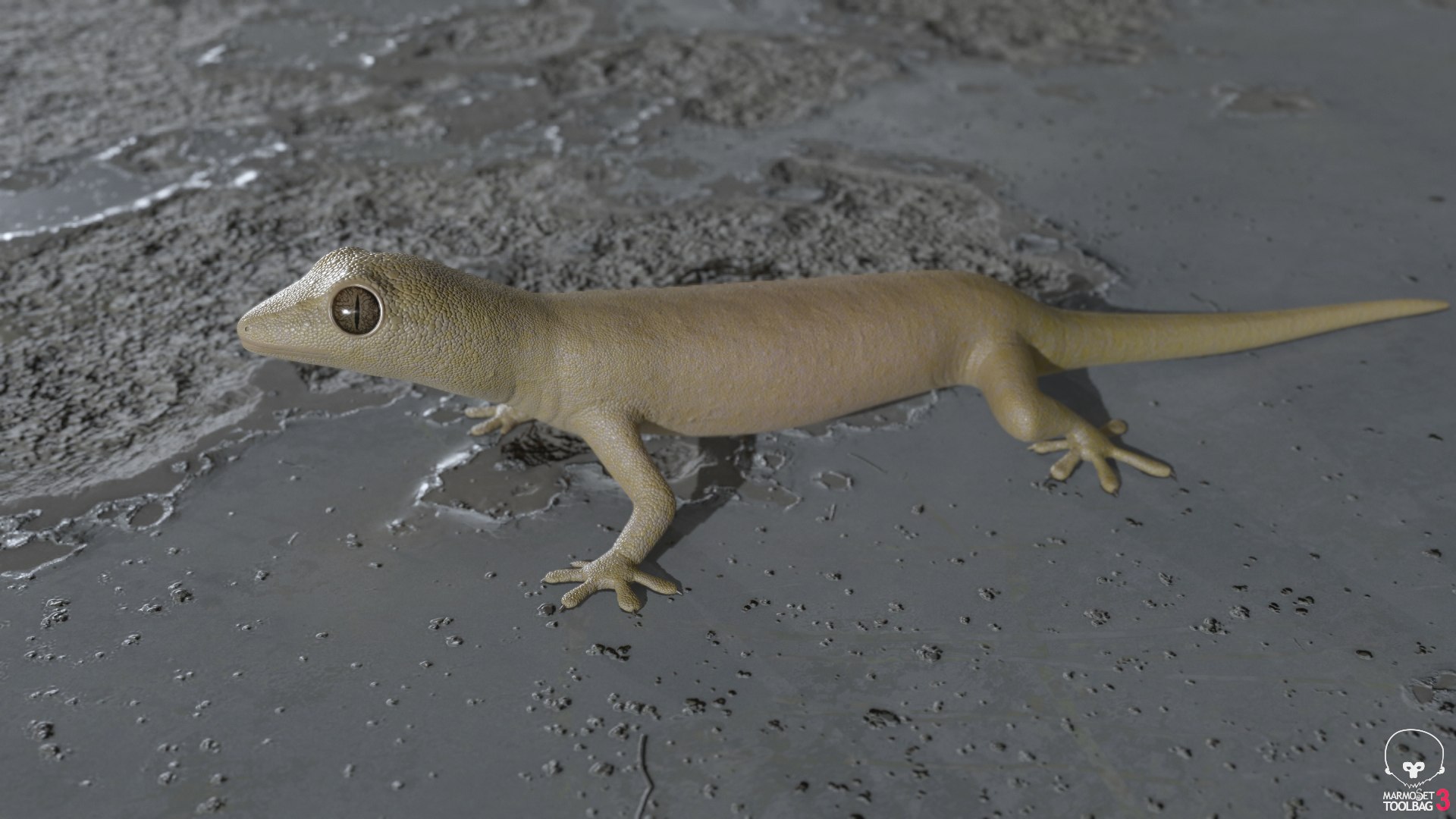 3D mourning gecko model https://p.turbosquid.com/ts-thumb/UH/7782CI/pnM5Fhzy/screenshot1184/png/1573783943/1920x1080/fit_q87/948ce02eb74b3267e4798ac2cc8148717424cefe/screenshot1184.jpg