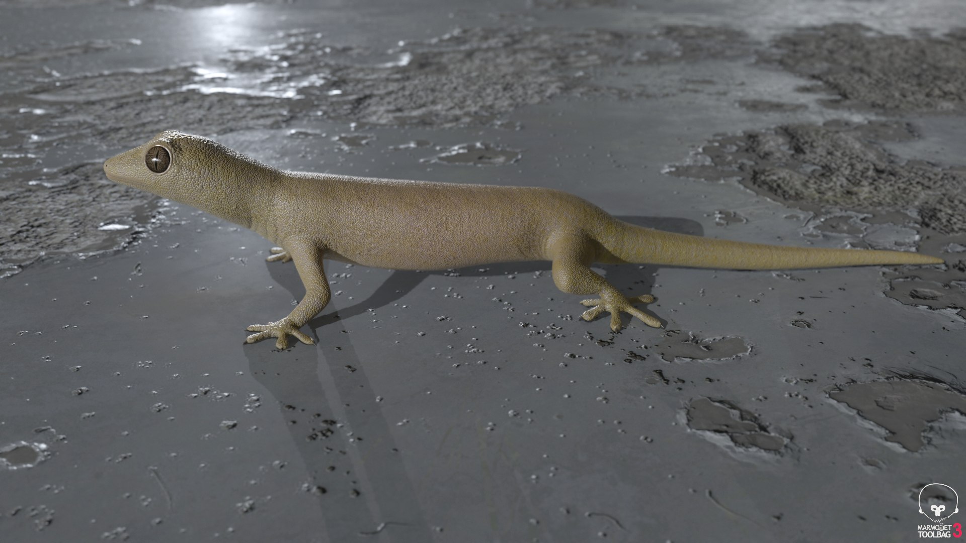 3D mourning gecko model https://p.turbosquid.com/ts-thumb/UH/7782CI/rAe27Irn/screenshot1185/png/1573783943/1920x1080/fit_q87/6e5127767d6269efa66855cf48762c747abd1995/screenshot1185.jpg