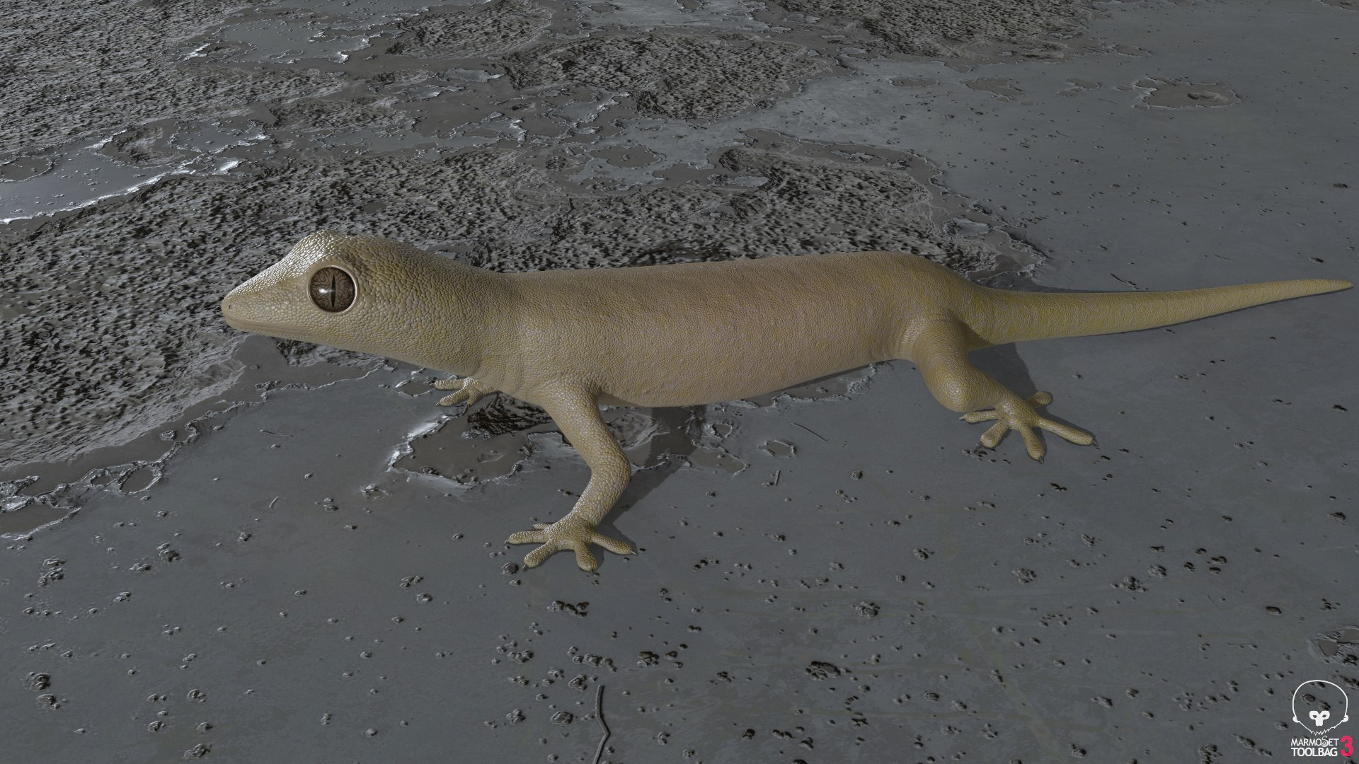 3D mourning gecko model https://p.turbosquid.com/ts-thumb/UH/7782CI/zSPYJoci/screenshot1183/png/1573783943/1920x1080/fit_q87/40d407804f753b1e621d8be5f2265fead74a8a85/screenshot1183.jpg