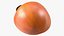 Persimmon Fruit Half