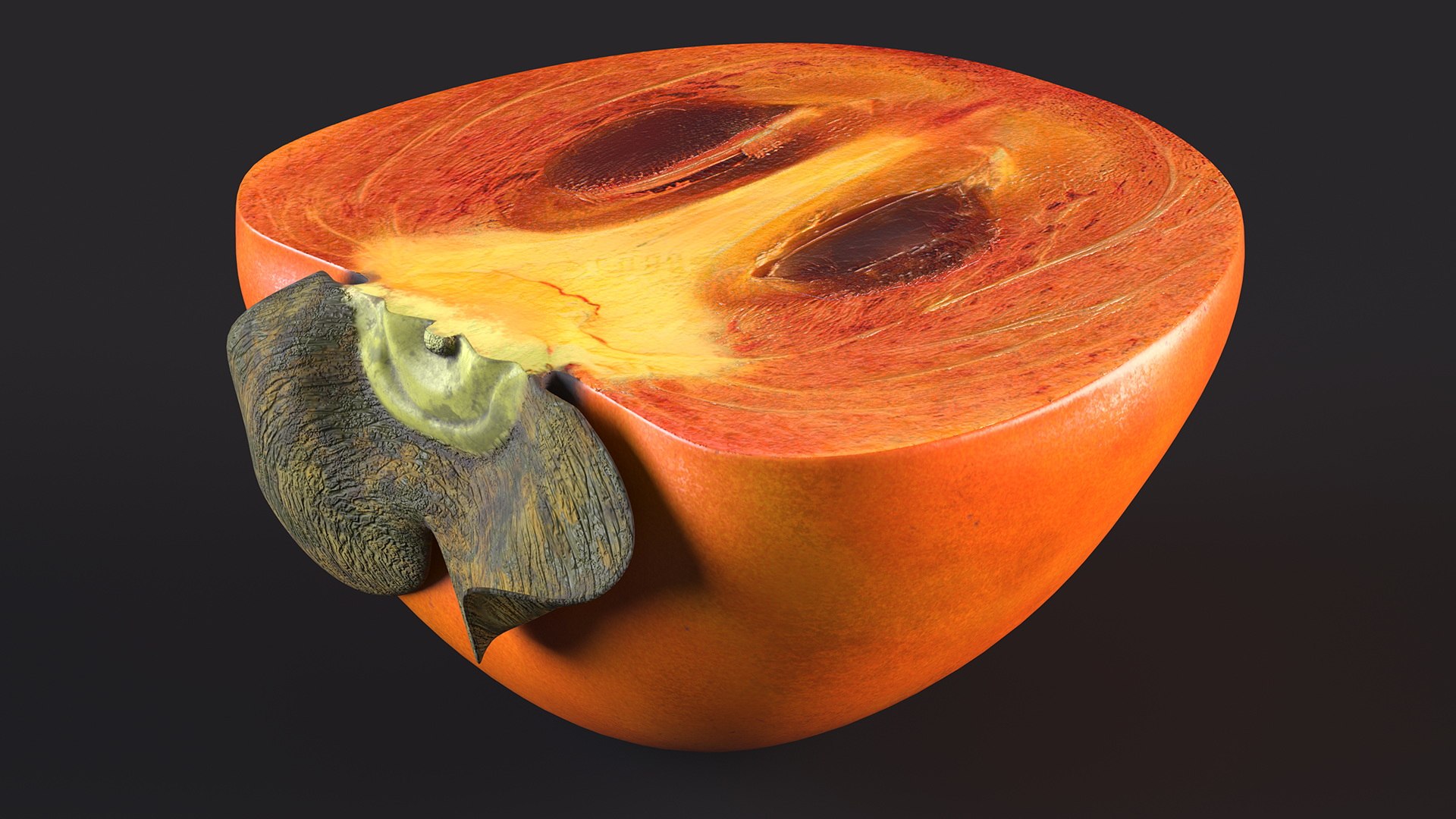 Persimmon Fruit Half 3D https://p.turbosquid.com/ts-thumb/UH/KV7lbu/AI/persimmonfruithalfvray3dmodel006/jpg/1682609004/1920x1080/fit_q87/7f897708e4182d4b748cc8b02bcb35b8a548f7dd/persimmonfruithalfvray3dmodel006.jpg