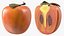Persimmon Fruit Half