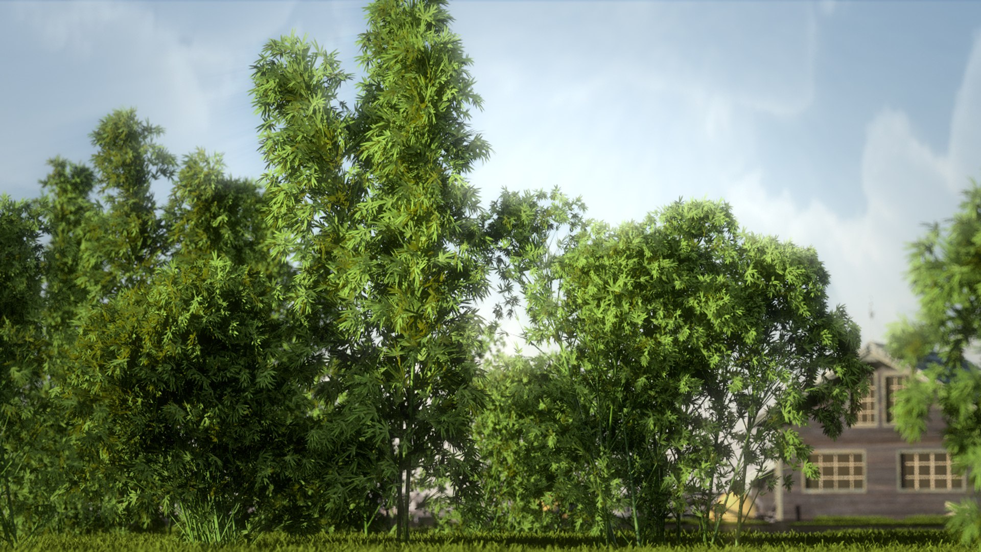 bamboo tree animation 3d model https://p.turbosquid.com/ts-thumb/UH/P7Y4OS/K2dnKP8p/bamboo199/jpg/1387198726/1920x1080/fit_q87/0319d7fc9158f300a19f783a337260ddab467a8f/bamboo199.jpg