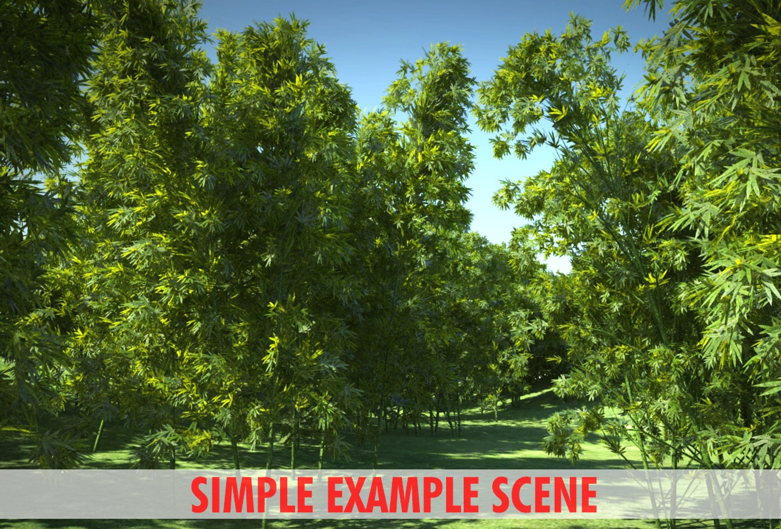 bamboo tree animation 3d model https://p.turbosquid.com/ts-thumb/UH/P7Y4OS/f3jm6ktB/x/jpg/1369032478/1920x1080/fit_q87/a84e815133f40477c073b90b276d314f975668a8/x.jpg