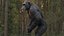 3D Chimpanzee RIGGED model