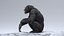 3D Chimpanzee RIGGED model