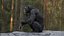 3D Chimpanzee RIGGED model