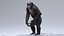 3D Chimpanzee RIGGED model